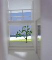 OhouseWEB2.jpg