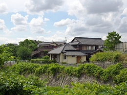 _MG_9253.jpg